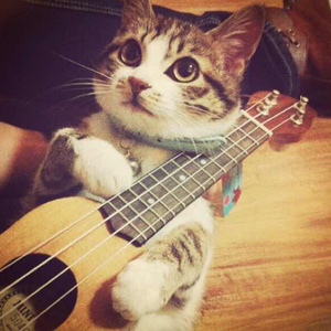 裸体性高朝女人中国管
