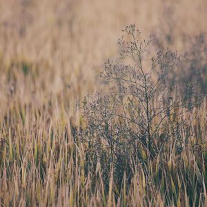 裸体性高朝女人中国管
