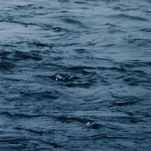 裸体性高朝女人中国管
